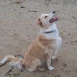 Keyra