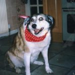 Kizzy