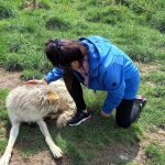 Wolfie